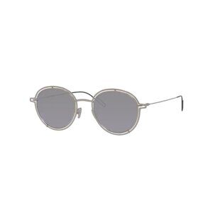 Dior Homme 0210S Round Sunglasses Silver Metal Frame With Dark Grey Lenses Unise